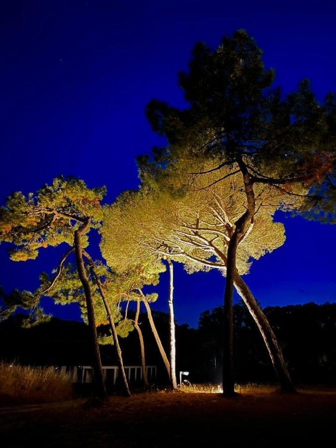 Les Salines Boyardville - Appart'Hotel Saint-Pierre-d'Oleron Exterior foto