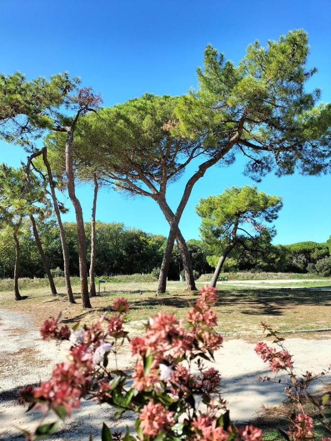 Les Salines Boyardville - Appart'Hotel Saint-Pierre-d'Oleron Exterior foto