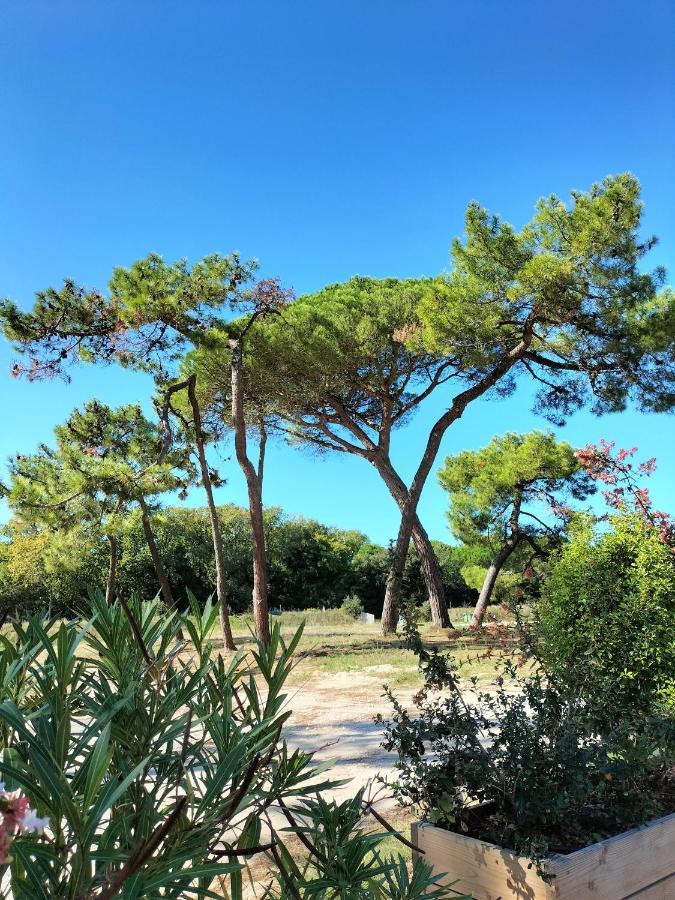 Les Salines Boyardville - Appart'Hotel Saint-Pierre-d'Oleron Exterior foto
